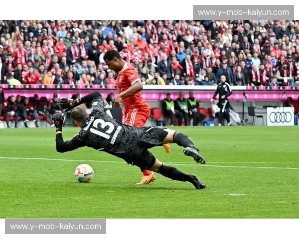 蓝色与红色的德甲史诗：拜仁慕尼黑与沙尔克04的宿命对决